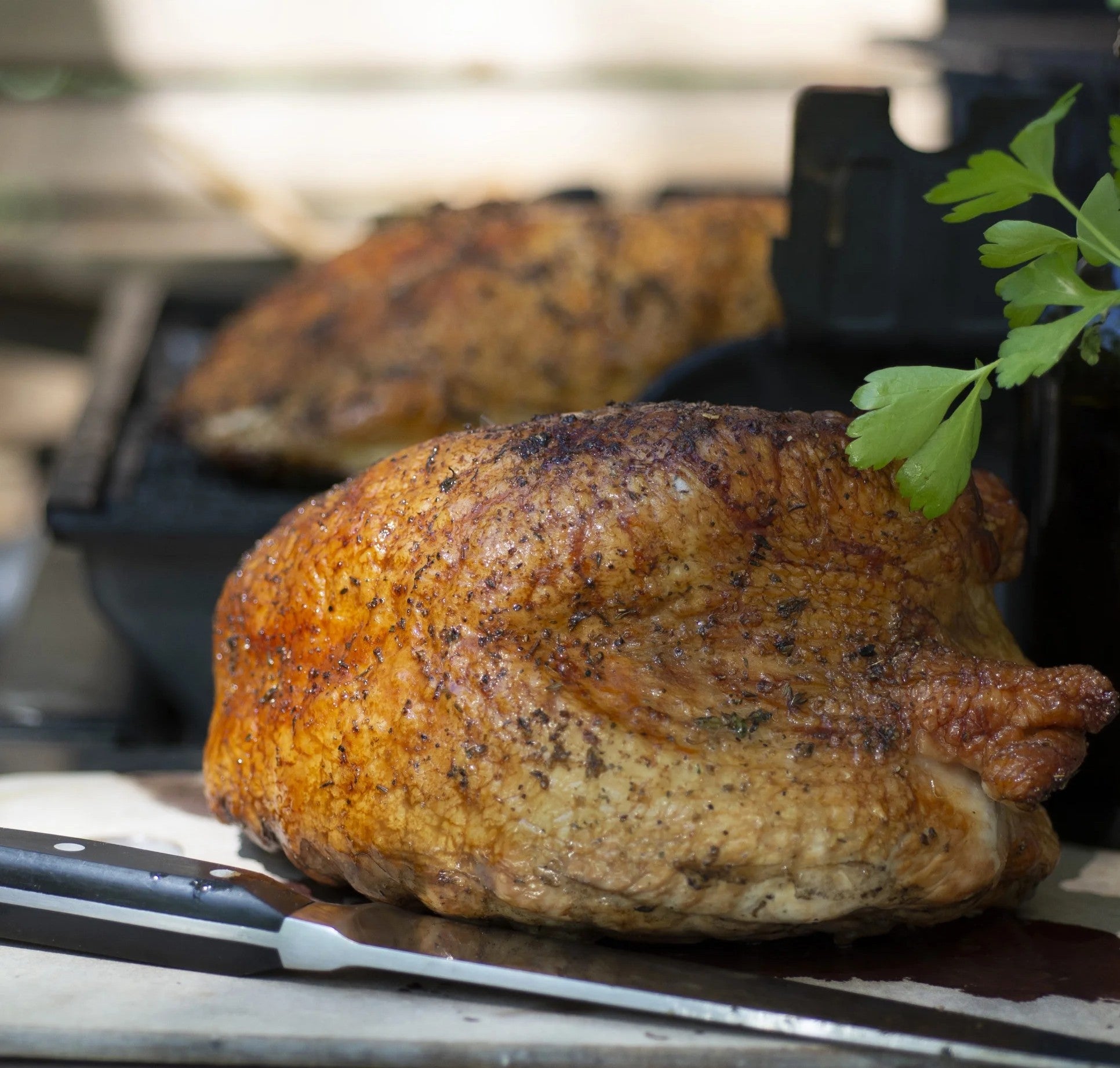 Shady Brook Farms Bone-In Turkey Breast with Gravy 6-9 Pounds